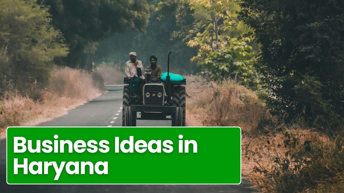 Business ideas in Haryana